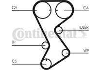 Timing Belt