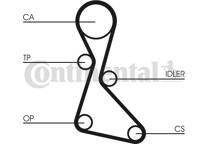 Timing Belt