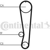 Honda jazz hotsell timing belt