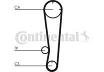 Timing Belt