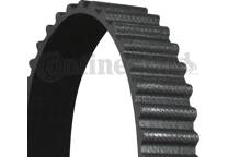 Timing Belt
