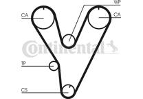 Timing Belt