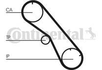 Timing Belt