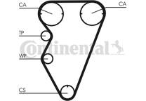 Timing Belt