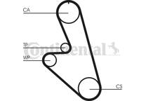 Timing Belt