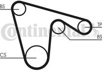 Timing Belt