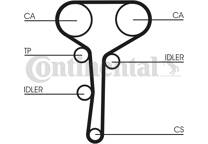Timing Belt