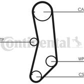 Timing Belt CONTITECH - CT997