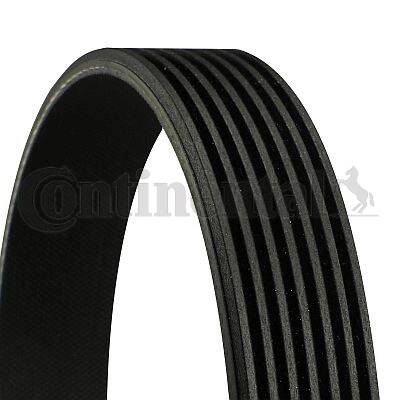 V Ribbed Drive Belts
