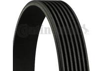V-Ribbed Belts