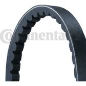 V-Ribbed Belts CONTITECH - AVX13X900