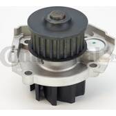 Wasserpumpe CONTITECH - WP6042