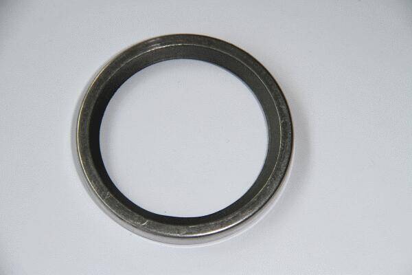 Seal Ring, coolant pipe