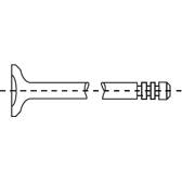 set of 2 exhaust valves CORTECO - 49355730