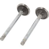 set of 2 exhaust valves CORTECO - 550243B