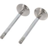 set of 2 exhaust valves CORTECO - 550983B