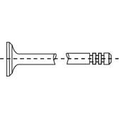 set of 2 exhaust valves CORTECO - 554003B