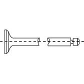 set of 2 exhaust valves CORTECO - 554021B