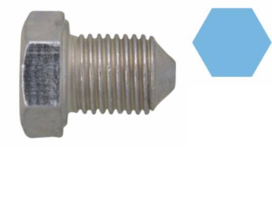 Screw Plug, oil sump