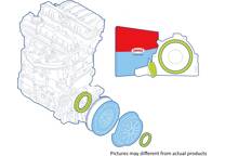 Shaft Seal Set, clutch