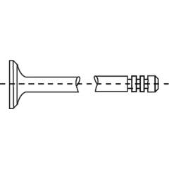 soupape d'échappement CORTECO - 554029B