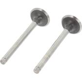Set van 2 Uitlaatklep CORTECO - 550002B
