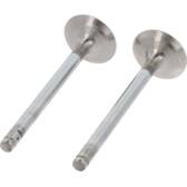 Set van 2 Uitlaatklep CORTECO - 550983B