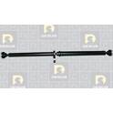 Aandrijfas, asaandrijving DA SILVA PROTRANS - TR1007
