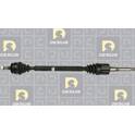 Cardan (Remanufacturé) DA SILVA PROTRANS - 10030ATBIS