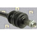 Cardan (Remanufacturé) DA SILVA PROTRANS - 4169AT