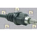 Semiasse (Rigenerato) DA SILVA PROTRANS - 1239T