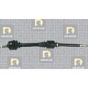 Semiasse (Rigenerato) DA SILVA PROTRANS - 198BT