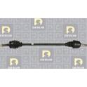 Semiassi DA SILVA PROTRANS - JC31260A