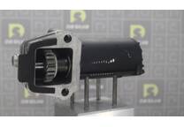 Startmotor (Gereviseerd)