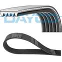 Flerspårsrem DAYCO - 5PK1010
