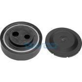 Galet tendeur (courroie d'accessoire) DAYCO - APV2037