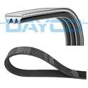 Poly V-riem DAYCO - 3PK815