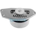 Rullo tenditore, Cinghia Poly-V DAYCO - APV2073