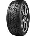 Dæk DELINTE Wd6 205/55R17 95H DELINTE - 6901532440354