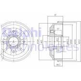 Brake Drum DELPHI - BFR282