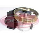 Hydraulic Pump, steering DELPHI - 25211300