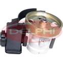 Hydraulic Pump, steering DELPHI - 25211308