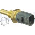 Sensor, kylmedelstemperatur DELPHI - TS10505