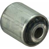 Silent bloc de triangle de suspension DELPHI - TD1720W