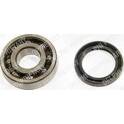 Wheel Bearing Kit DELPHI - BK995