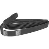 Poly V-riem DENCKERMANN - 6PK976