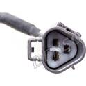 Sensor, crankshaft pulse DENSO - DCPS-0104