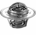 Termostato, refrigerante DENSO - DTM88200