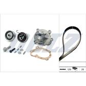 Pompa acqua + Kit cinghie dentate DOLZ - KD142