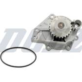 Pompe à eau DOLZ - M243